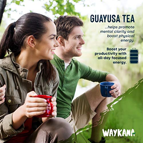 Waykana Guayusa Loose Leaf Tea, 16 Ounce | Yerba Mate &Amp; Coffee A