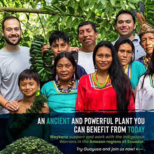 Waykana Guayusa Loose Leaf Tea, 16 Ounce | Yerba Mate &Amp; Coffee A