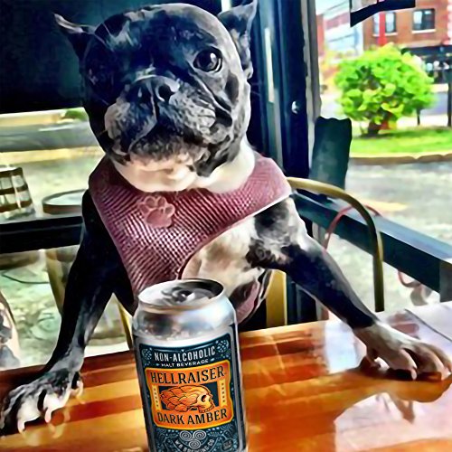 Wellbeing Brewing Co. 12 Pack Cans - Hellraiser Dark Amber Non-A