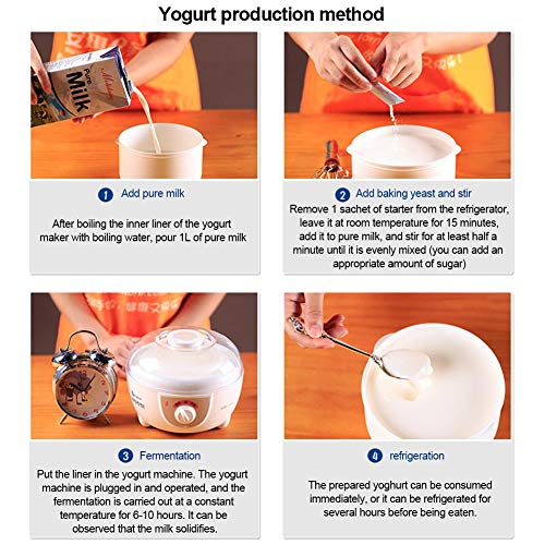 Yogurt Starter, Yogurt Starter Cultures Or Sourdough Starters Di