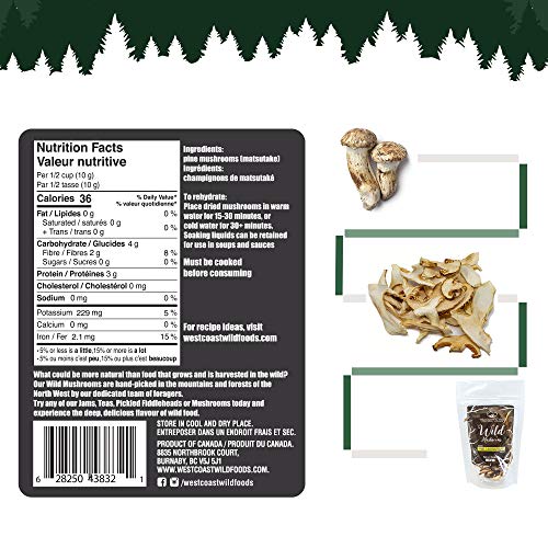 Dried Wild Pine Mushrooms |Premium Grade For Gourmet Recipes| M