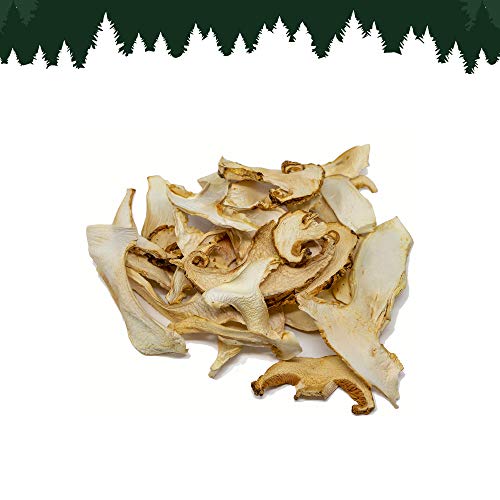 Dried Wild Pine Mushrooms |Premium Grade For Gourmet Recipes| M