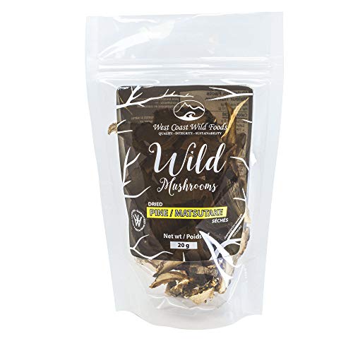 Dried Wild Pine Mushrooms |Premium Grade For Gourmet Recipes| M