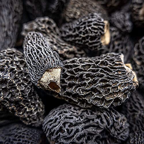 West Coast Wild Foods | Dried Wild Mushrooms Morel, 0.5Oz - 14G
