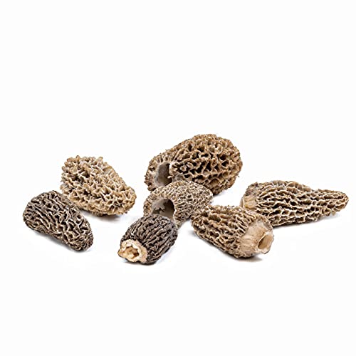 West Coast Wild Foods | Dried Wild Mushrooms Morel, 0.5Oz - 14G