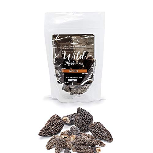 West Coast Wild Foods | Dried Wild Mushrooms Morel, 0.5Oz - 14G