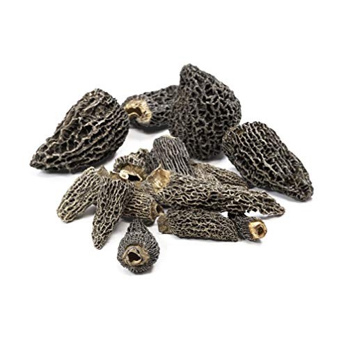 Wild Morel Mushroom Powder | Premium Grade For Gourmet Recipes B