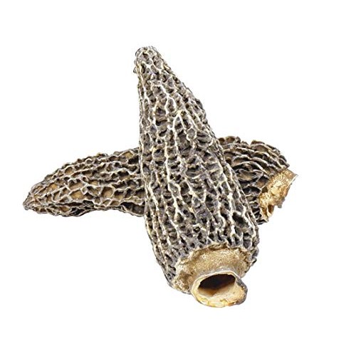 Wild Morel Mushroom Powder | Premium Grade For Gourmet Recipes B