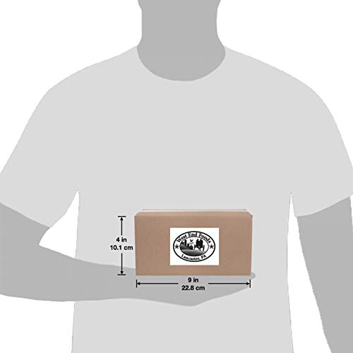 Sunkist Orange Soda Mini Soda Cans, 7.5 Oz Soft Drinks Bulk Snac