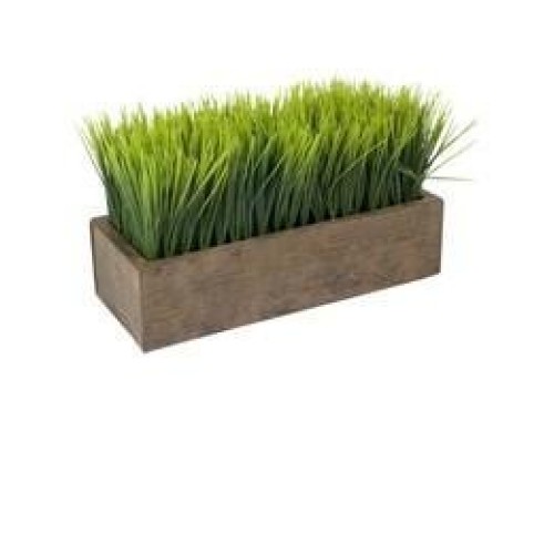 Hard Red Winter Wheat - 1 Lbs - Excellent For Growing Wheatgrass