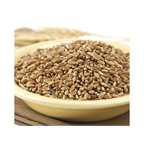 Wheat Montana Farms Hard Red Winter Wheat 50Lb
