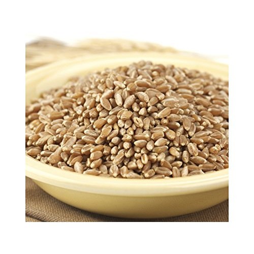 Wheat Montana Prairie Gold Hard Wheat Berries, 50-Pound