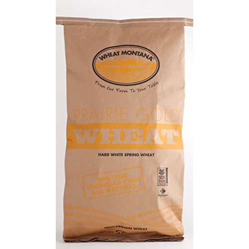 Wheat Montana - Prairie Gold Wheat Berries - 1 Pack - 50Lb Bag