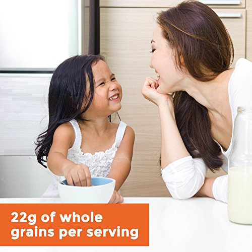 Wheaties Whole Wheat Flakes Cereal, 15.6 Oz Pack Of 14