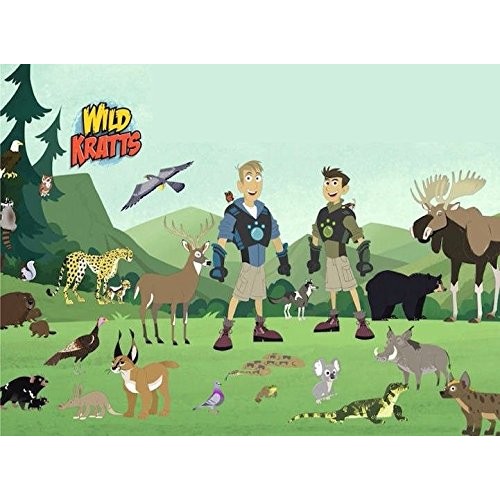 Sdore The Wild Kratts Edible 1/4 Sheet Image Frosting Cake Toppe