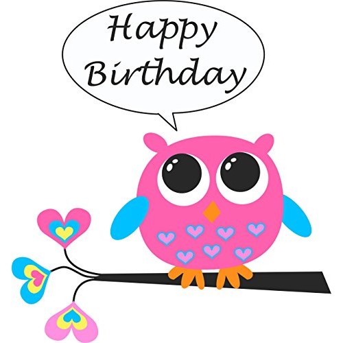 Owl Happy Birthday Edible Cake Image Topper 8 Inch Round