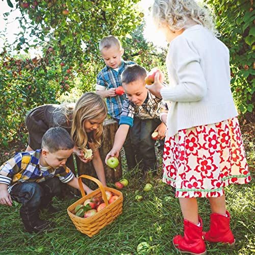 White House Organic Apple Cider Vinegar Shots, Raw Unfiltered , ...