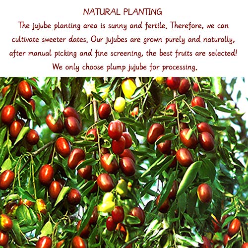 2.2Lbs Organic Dried Red Date, Medjool Dates Jujube Hong Zao