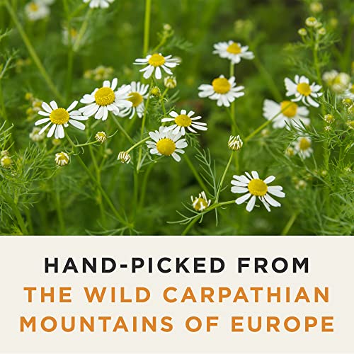 Organic Wild Chamomile Flower Tea - Caffeine Free Herbal Tea - 2...