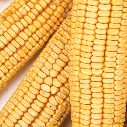 Wild Delight Corn On The Cob, 7 Lb