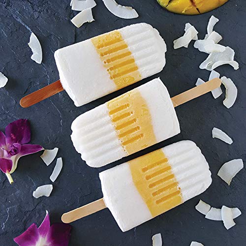 Organic Coconut Milk Powder - Powdered Milk Organic- Dry Milk -