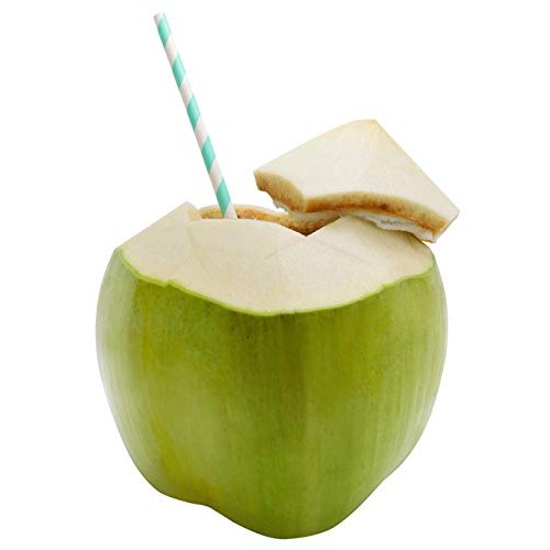 Wilderness Poets Coconut Water Powder - Freeze Dried - Instant M