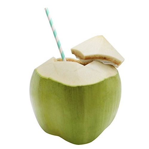 Wilderness Poets Coconut Water Powder - Freeze Dried - Instant M