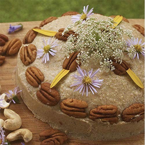 Wilderness Poets Organic Raw Pecan Butter, 8 Ounce 227 Gram