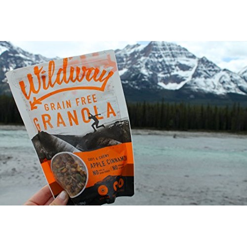 Wildway Apple Cinnamon Grain-Free Granola, 8Oz Certified Gluten