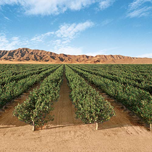 Wonderful Pistachios, Roasted And Salted, 32 Ounce