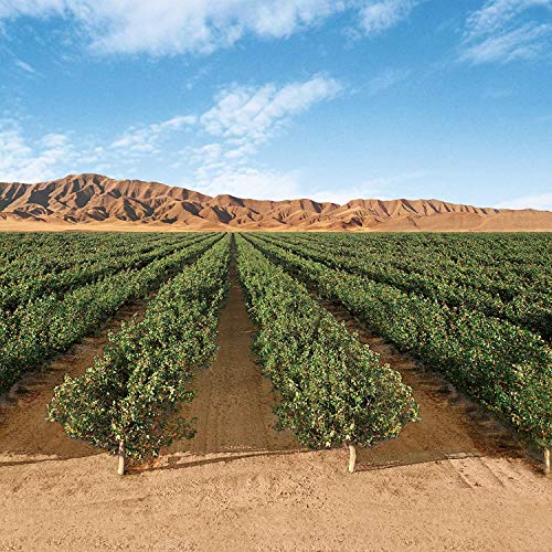 Wonderful Pistachios , Roasted &Amp; Salted, Oz Bag Roasted And Salt