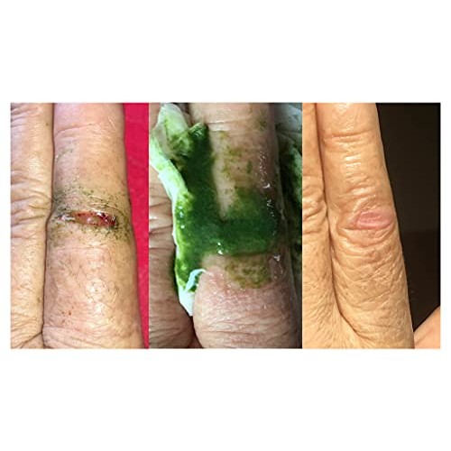 Wow Frozen Wheatgrass Juice - Only $1.67 Per Oz 84 Fl Oz- Orga