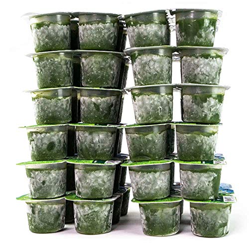Wow Frozen Wheatgrass Juice - Only $1.67 Per Oz 84 Fl Oz- Orga