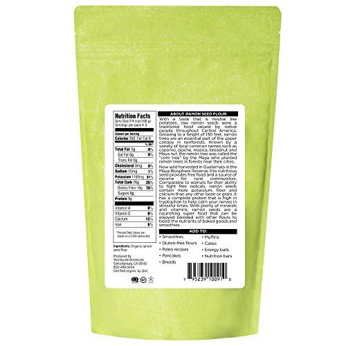 Worldwide Botanicals Organic Ramón Seed Flour – Aka Capomo, Ojoc