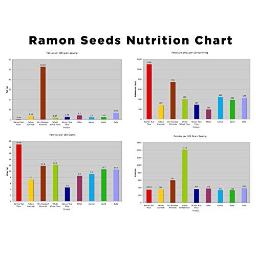 Worldwide Botanicals Organic Ramón Seed Flour – Aka Capomo, Ojoc
