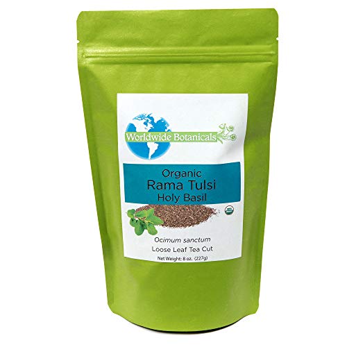 Worldwide Botanicals Organic Holy Basil Tea – Tulsi Rama - Loose