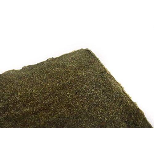 Wrawp Organic Veggie Wraps -Mini Raw Vegan Spirulina Flat Bread