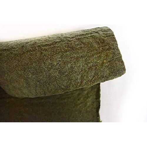 Wrawp Organic Veggie Wraps -Mini Raw Vegan Spirulina Flat Bread