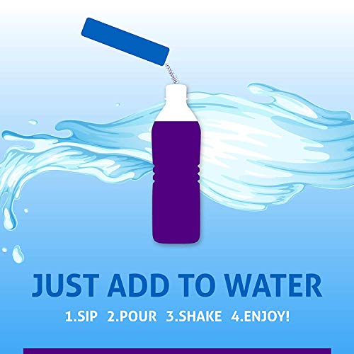 Wylers Light Island Punch Singles To Go,Purple Berry Wave 10 Ct