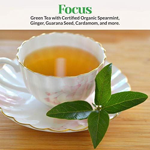 Xenvi Focus Green Tea, Natural Energy Tea With Organic Spearmint