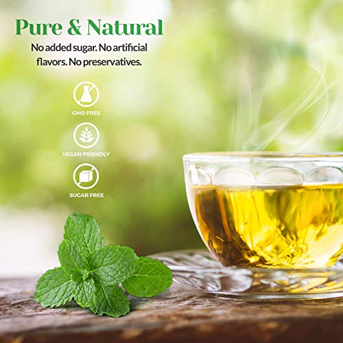 Xenvi Focus Green Tea, Natural Energy Tea With Organic Spearmint