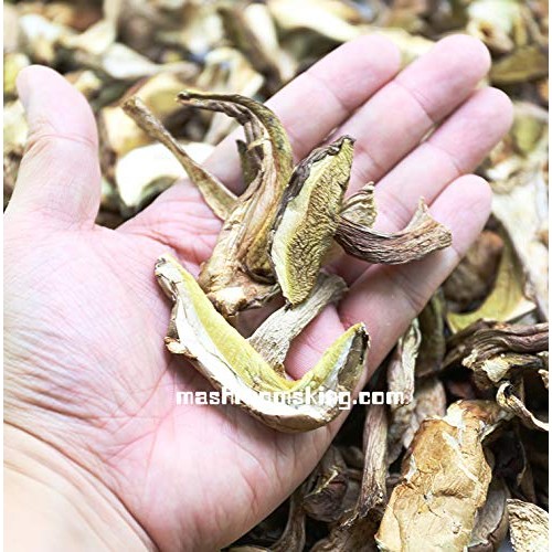 Premium A+ Grade Dried Wild Boletus Edulis Porcini Penny Bun 1 O