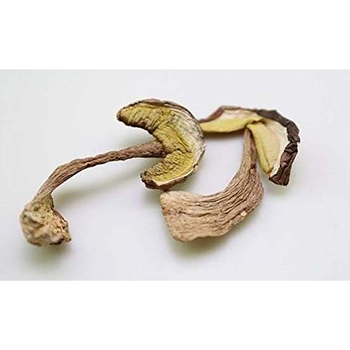 Premium A+ Grade Dried Wild Boletus Edulis Porcini Penny Bun 4Oz