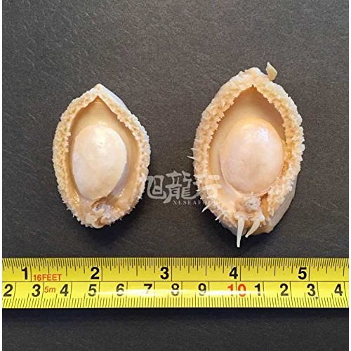 Xlseafood Sun Dried Haliotis Australia Aaaa Grade 227G 美国旭龙