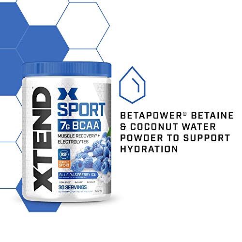 Xtend Sport Bcaa Powder Blue Raspberry Ice - Electrolyte Powder