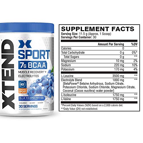 Xtend Sport Bcaa Powder Blue Raspberry Ice - Electrolyte Powder