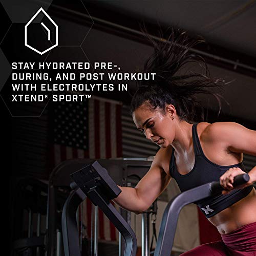 Xtend Sport Bcaa Powder Blue Raspberry Ice - Electrolyte Powder