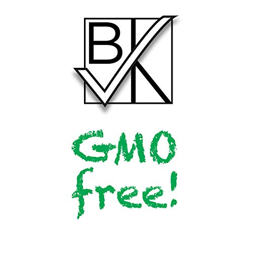 Xylichew 100% Xylitol Chewing Gum Jars - Non Gmo, Gluten, Aspart