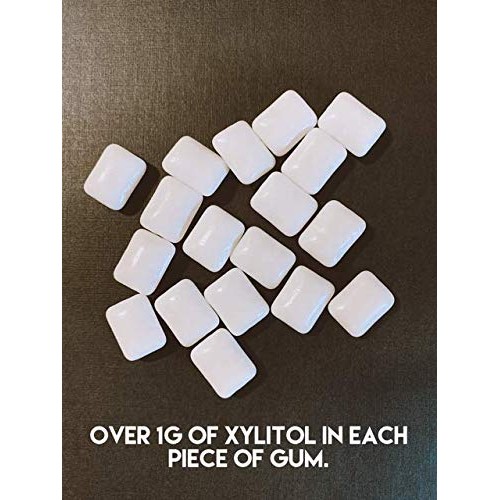 Focus Nutrition, Xyloburst 100% Xylitol Gum, Cinnamon Gum, 500 C
