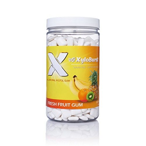 Xyloburst 100% Xylitol Gum, 500 Count Jar, Natural Chewing Gum,